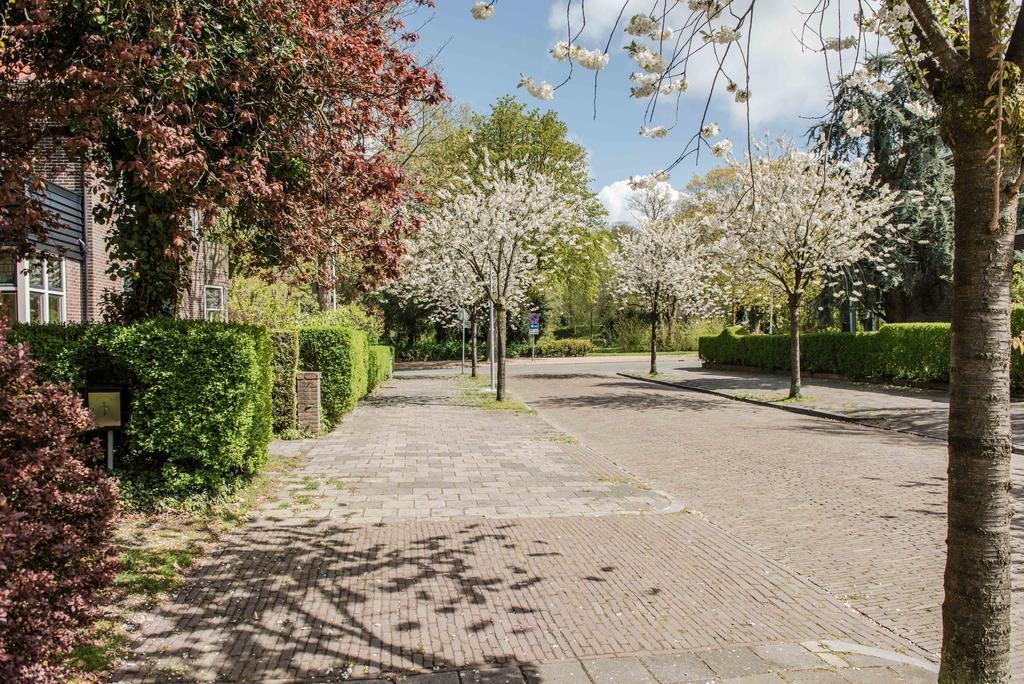 Bed & Office 050 Daire Groningen Dış mekan fotoğraf
